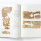 Bills, Letters and Deeds: Arabic Papyri of the 7th-11th Centuries - Image 12