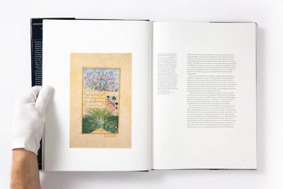 Paintings from India - Image 9