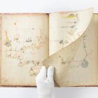 The Khalili Portolan Atlas Facsimile edition with text: Piri Reis and Turkish mapmaking after Columbus - Image 12