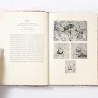 The Khalili Portolan Atlas Facsimile edition with text: Piri Reis and Turkish mapmaking after Columbus - Image 14